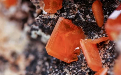 Best KH Mineral for Crystal Red: 10 Tested Picks 2026