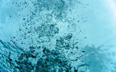 MIZUDO vs Hydronix for Shrimp